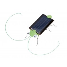 Grilo Solar com Motor Vibracall e Painel Fotovoltaico - Kit Educacional