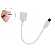 Cabo USB tipo C 30cm 3A Turbo Branco para Celular - UsinaInfo