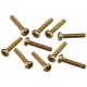 Parafuso Philips M3 x 16mm Met&aacute;lico - Kit com 10 unidades