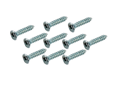 Parafuso Soberbo Philips 2.5 x 12mm Cabeça Chata - Kit com 10 Unidades - Imagem 1