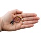 Conector JST 1.0mm 4 Pinos Fêmea para Jumper Macho Dupont com Fio 14cm - SH1.0MM-4P - Thumb 4