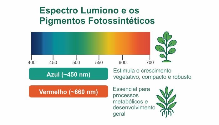 Faixa espectral útil para o crescimento(fotossíntese) das plantas 450 - 660nm - [1036663]