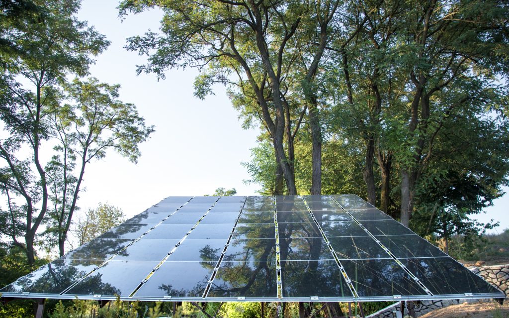 Painel Solar Instalado Próximo a Árvores