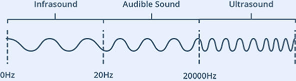 Frequência das Ondas Sonoras