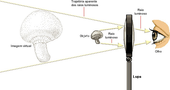 Imagem observada através de uma lente convergente
